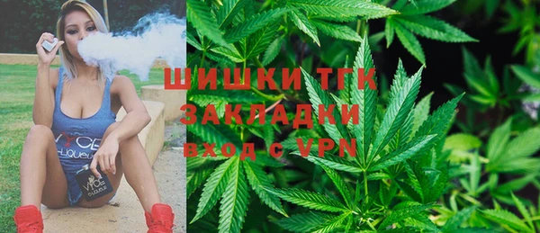 молекула духа Зерноград